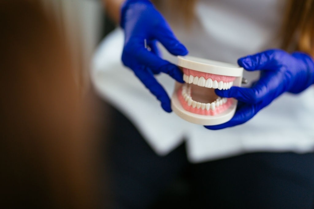 Dentist holding denture, close-up